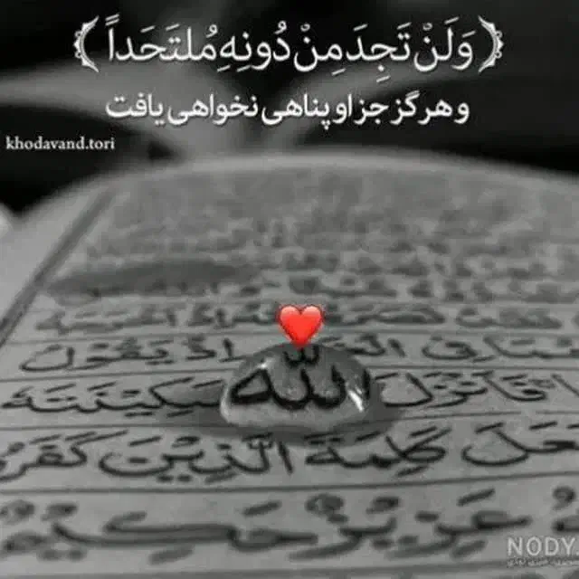 گمشده|اشیا|صحنه, |دیوار