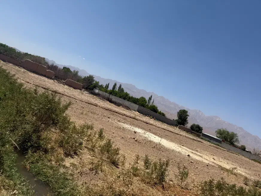 زمین کشاورزی در ماهان|فروش دفتر صنعتی، کشاورزی، تجاری|ماهان, |دیوار