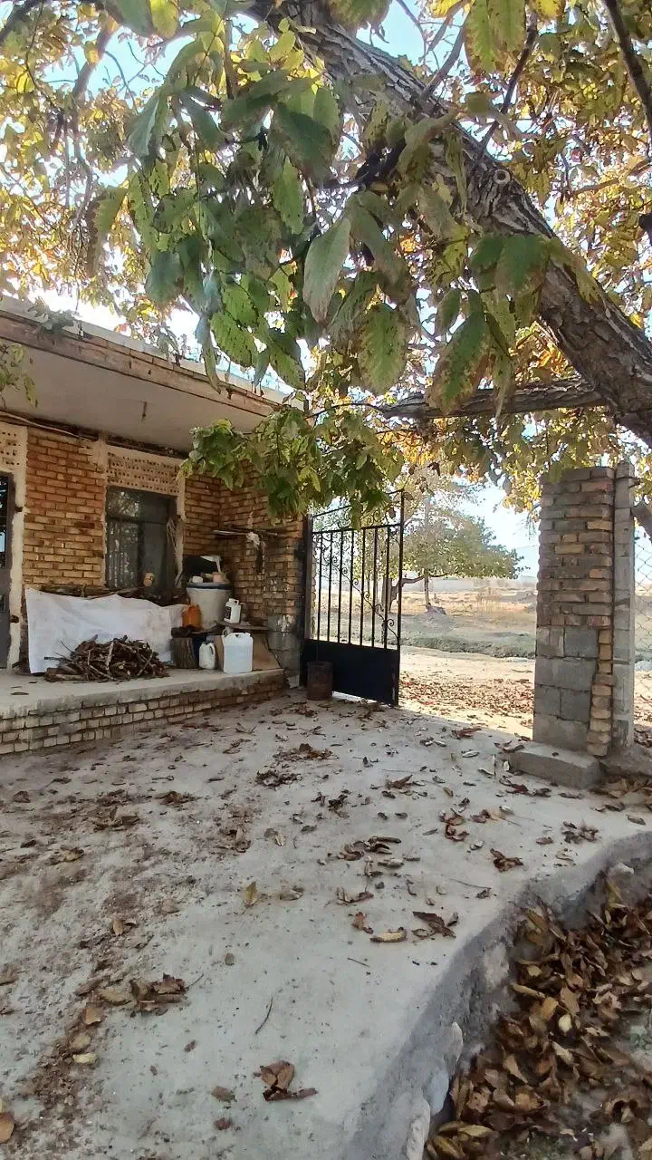 باغچه بسیار زیبا در روستای جمال آباد قوشچی|فروش دفتر صنعتی، کشاورزی، تجاری|انزل, |دیوار
