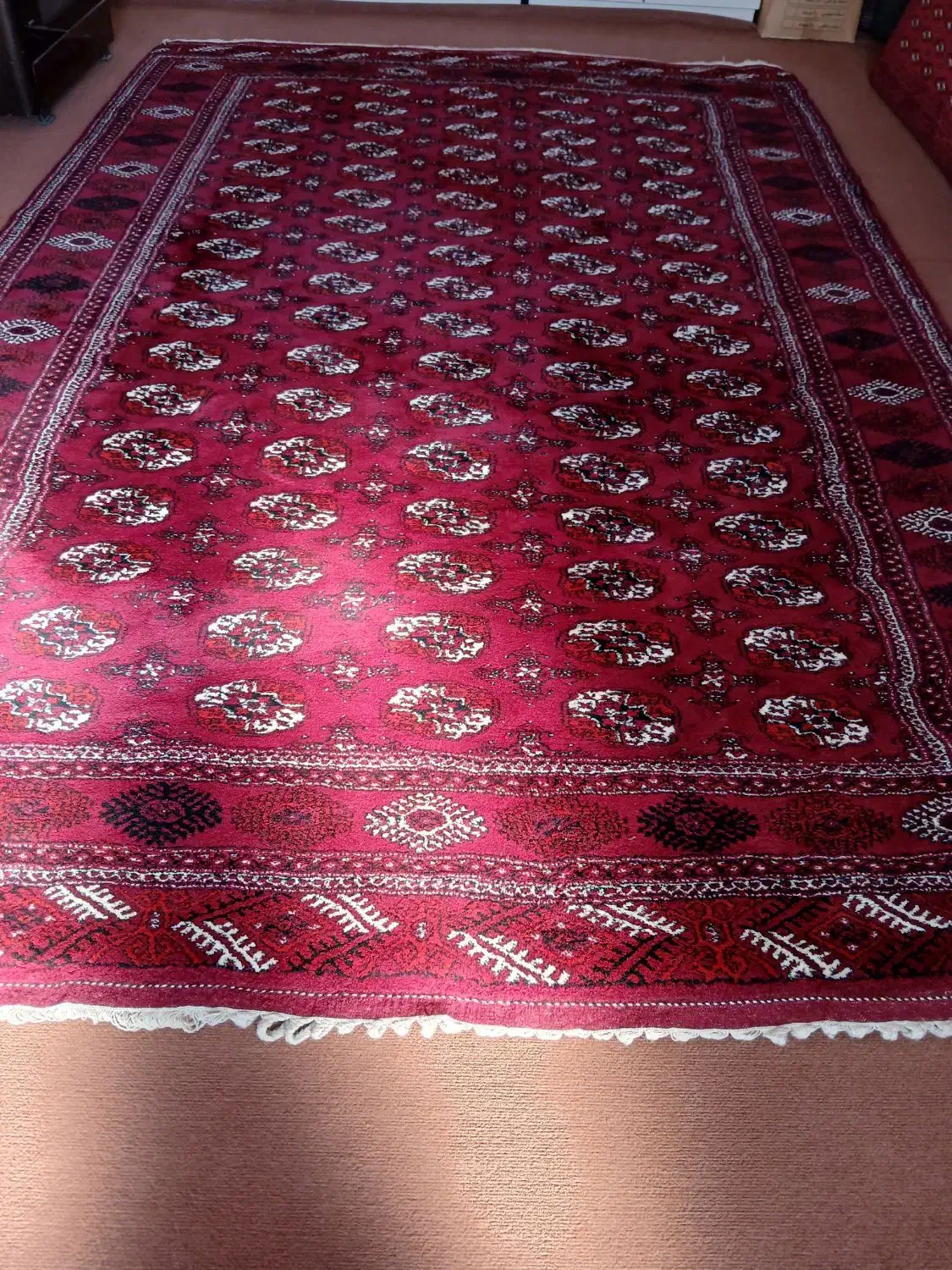 قالی|فرش|گنبد کاووس, |دیوار