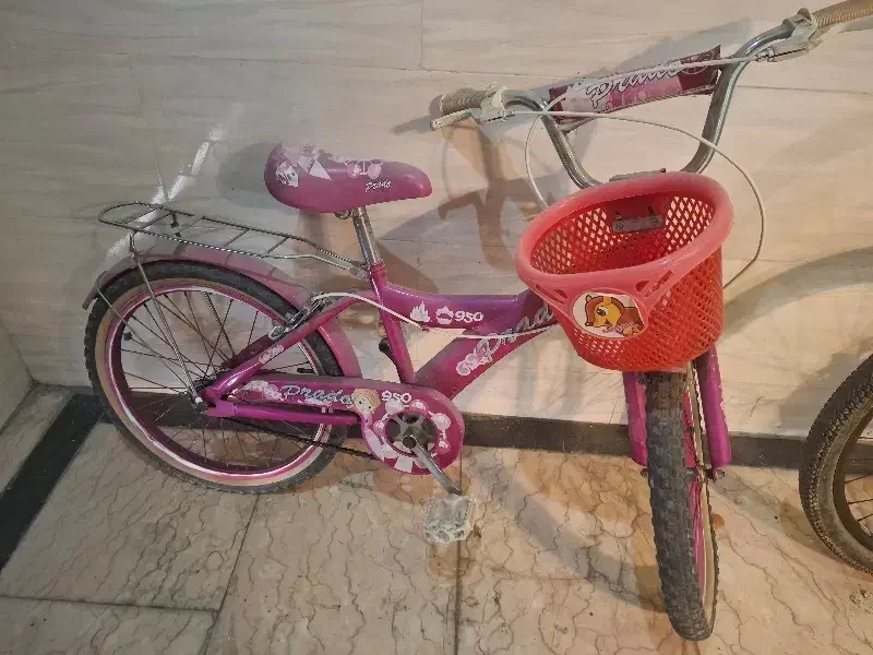 دوچرخه بچگانه|دوچرخه، اسکیت، اسکوتر|کیش, |دیوار