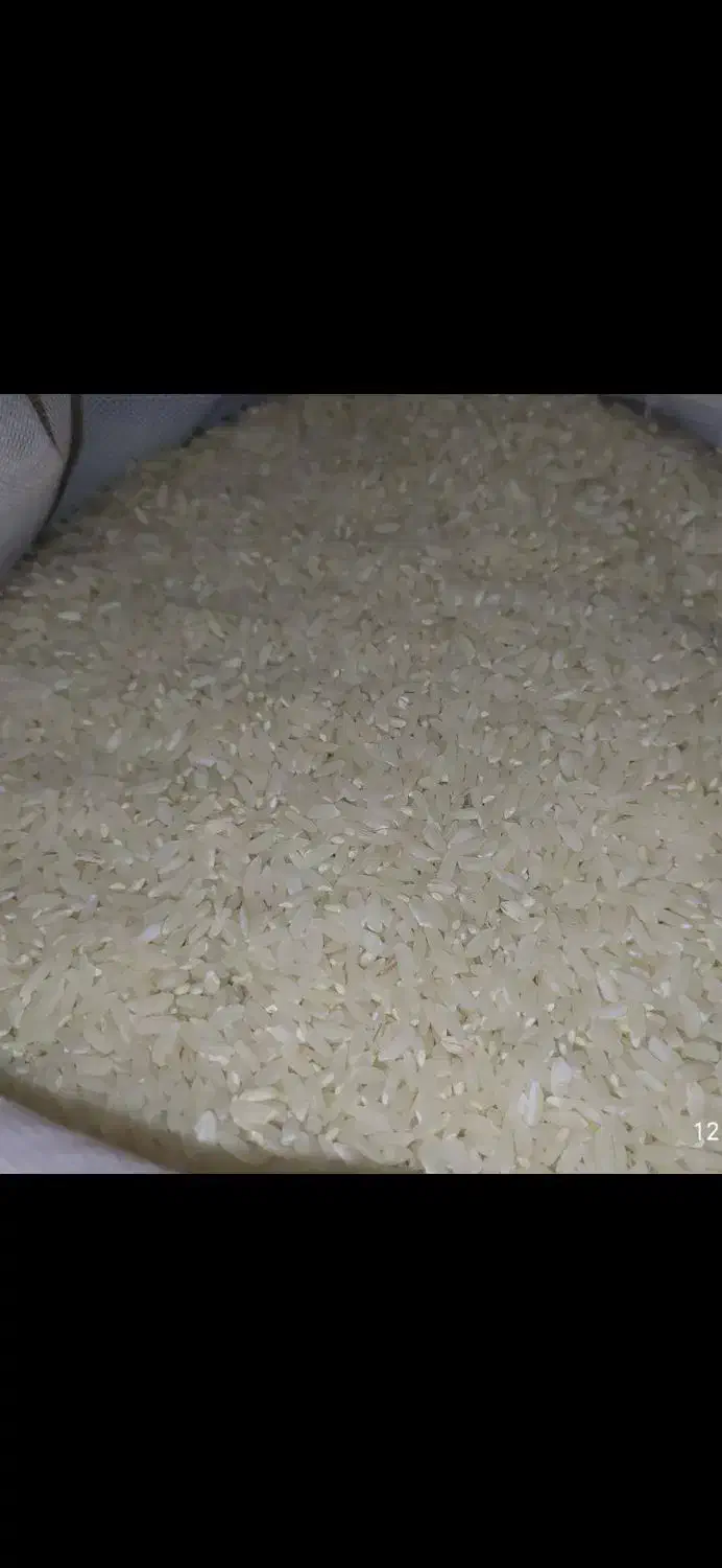 برنج عنبربو درجه یک|خوردنی و آشامیدنی|دره شهر, |دیوار