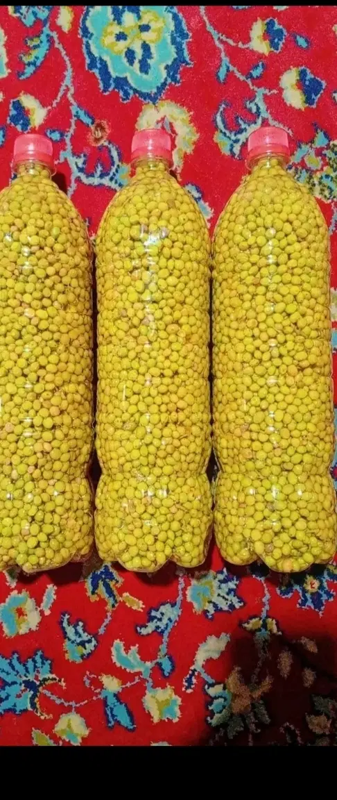 ترشی بنه|خوردنی و آشامیدنی|فسا, |دیوار
