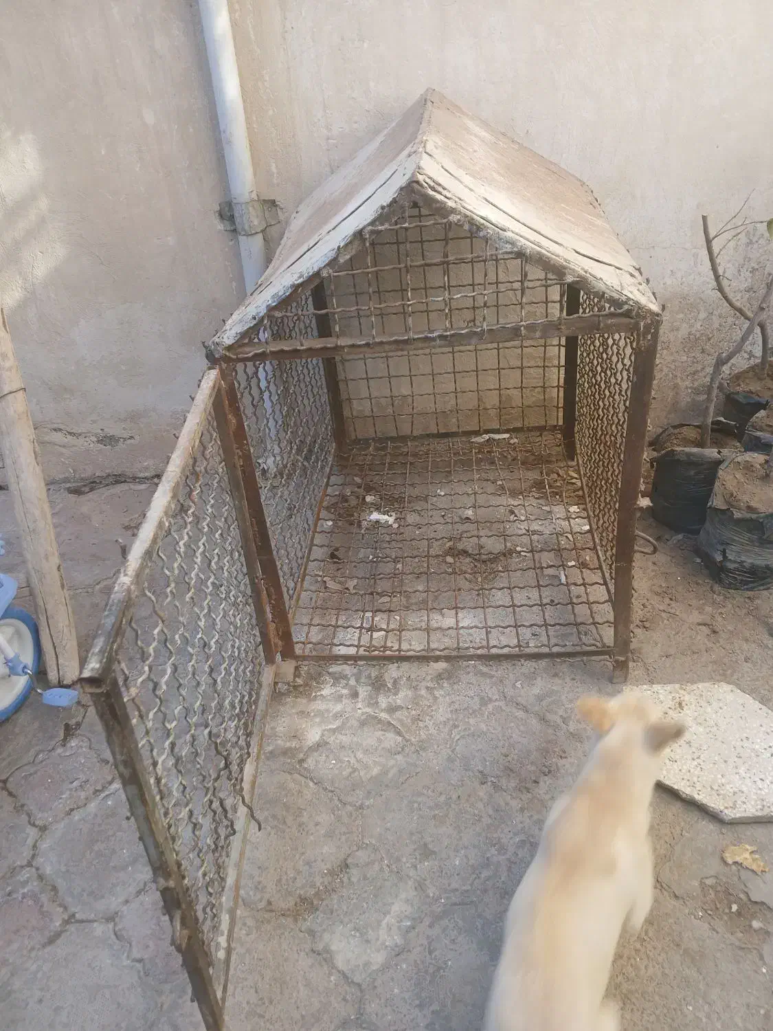 قفس|لوازم جانبی حیوانات|نیشابور, عدالت|دیوار