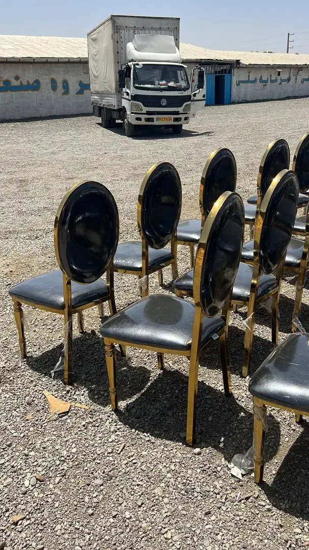 صندلی تالار حامی|میز و صندلی غذاخوری|احمدآبادمستوفی, |دیوار