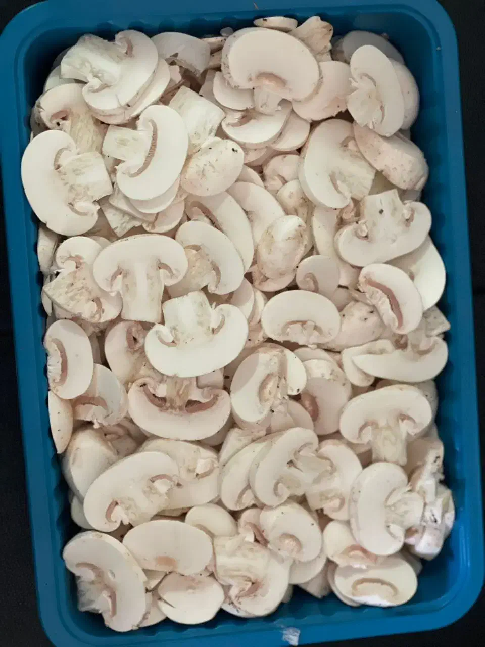 قارچ|عمده‌فروشی|تهران, چیتگر جنوبی|دیوار