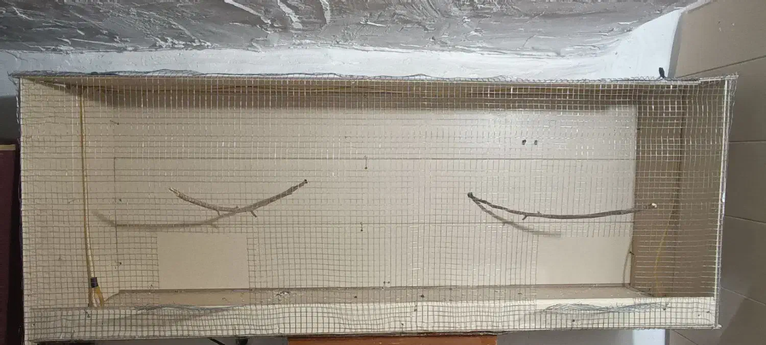 قفس|لوازم جانبی حیوانات|میبد, |دیوار