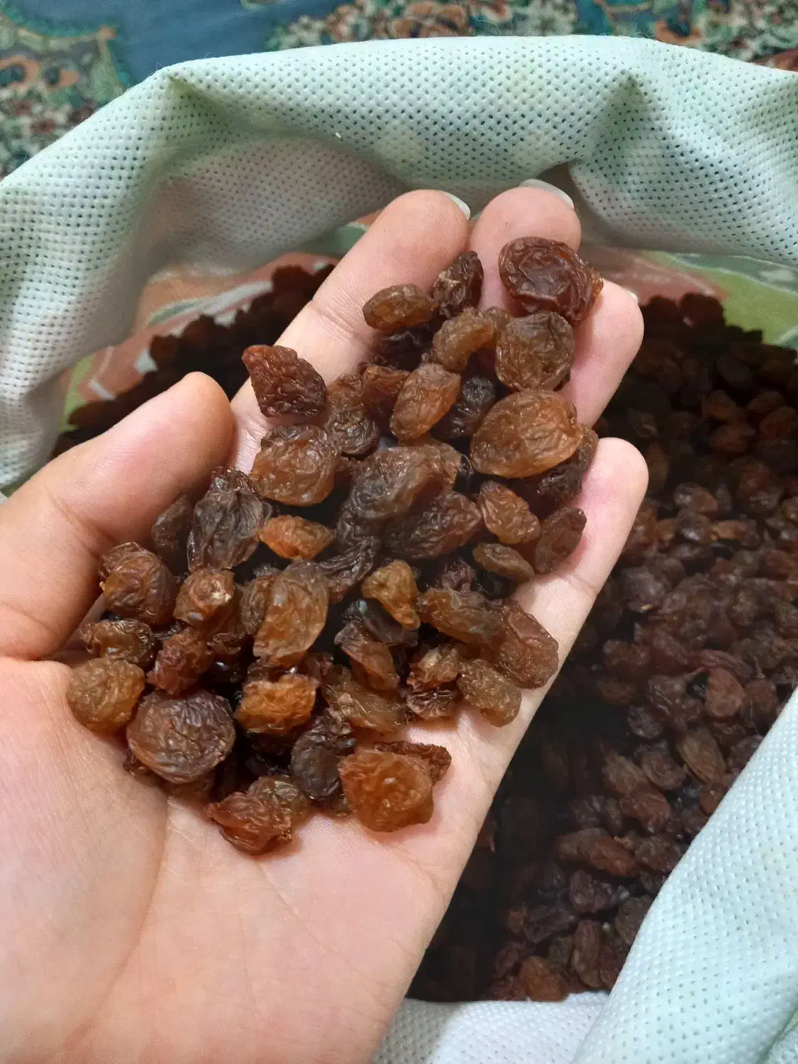 کشمش تازه بدون دم|خوردنی و آشامیدنی|قوچان, |دیوار