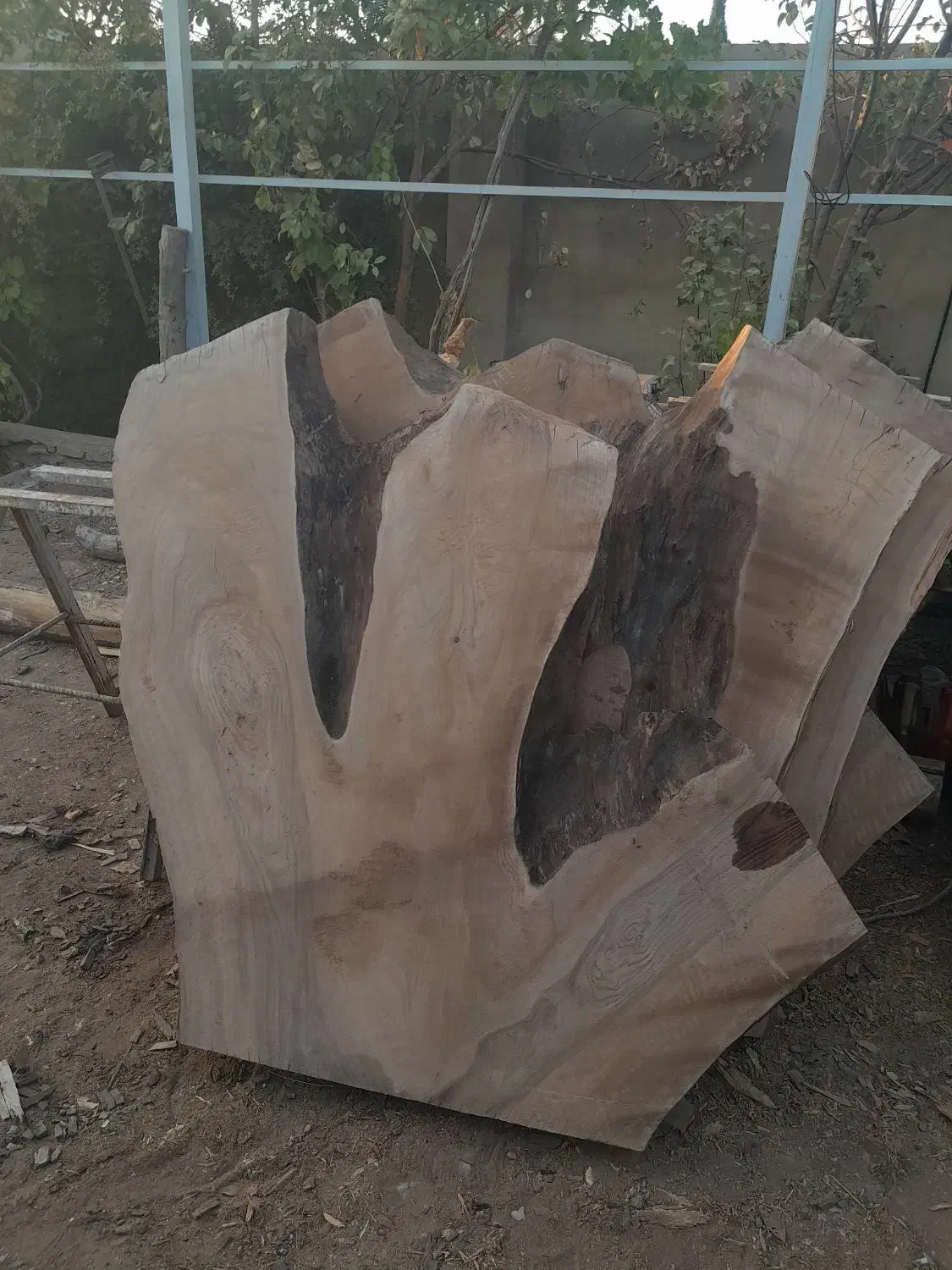 سوپر اسلبهای یک تیکه چوب گردو درسایزهای مختل|عمده‌فروشی|شیراز, گویم|دیوار