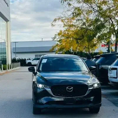 آموزش رانندگی برای خانم ها|خدمات آموزشی|بیرجند, |دیوار