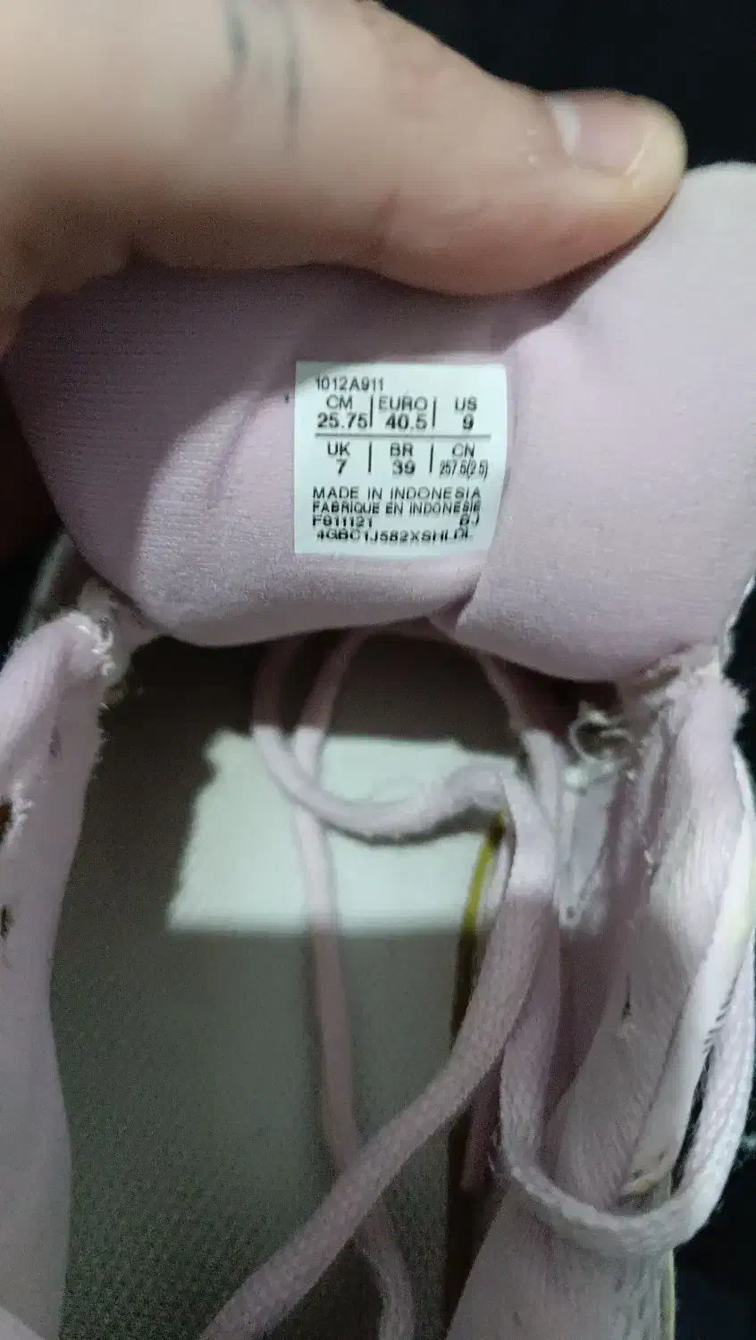 کفش اسیکس|کیف، کفش، کمربند|یاسوج, |دیوار