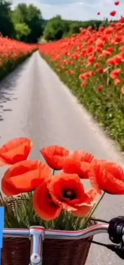 وام امتیازطرح مهربانی خریدارم|خدمات مالی، حسابداری، بیمه|دوگنبدان, |دیوار