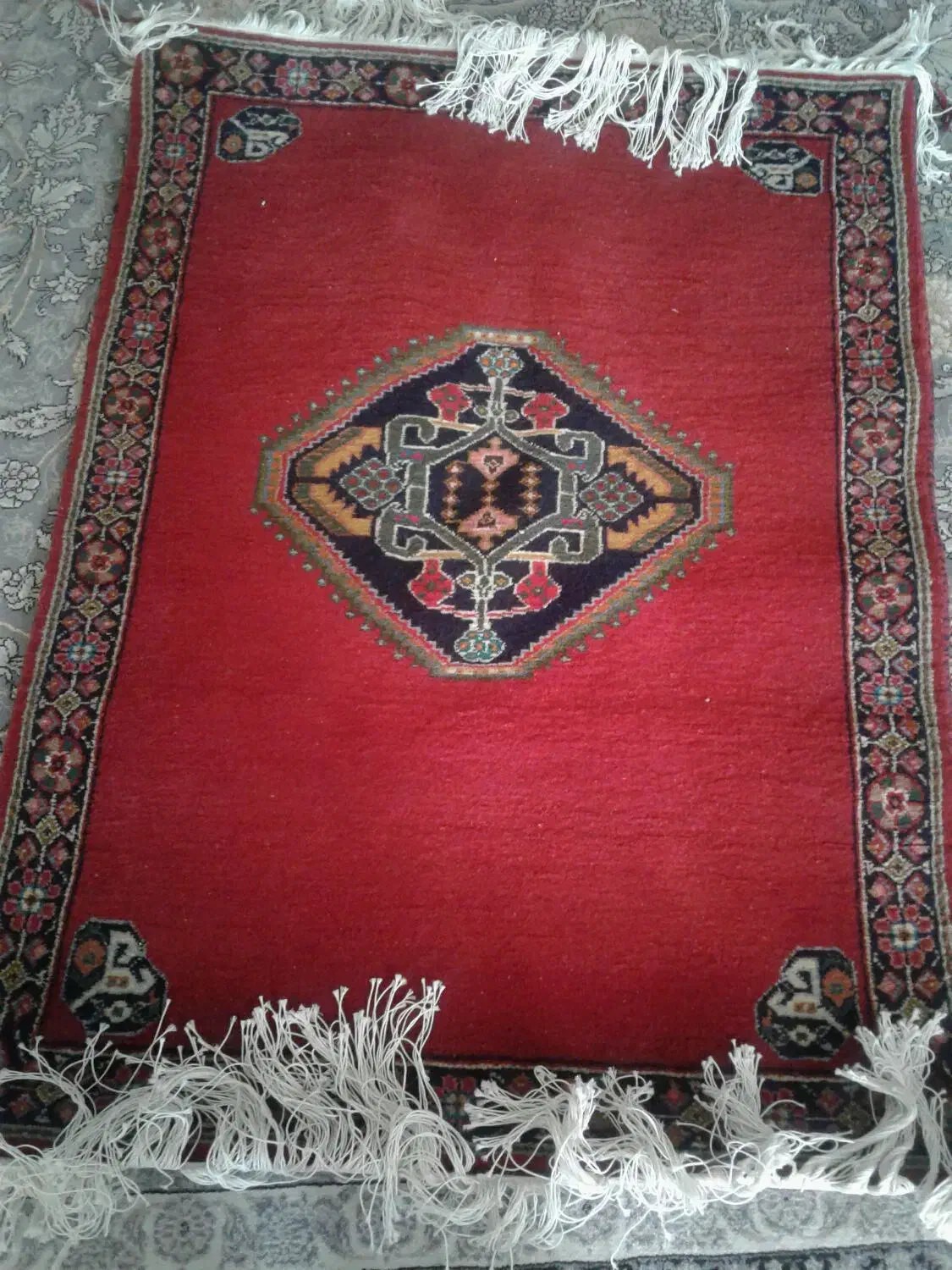قالیچه دستباف|گلیم، جاجیم، گبه|شیراز, شهرک مطهری|دیوار