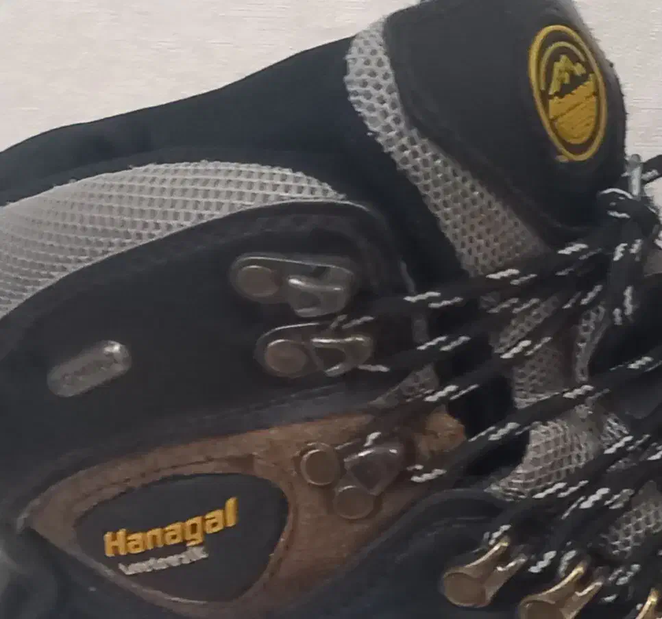 نیم بوت پسرانه هاناگل|کیف، کفش، کمربند|شیراز, ملاصدرا|دیوار