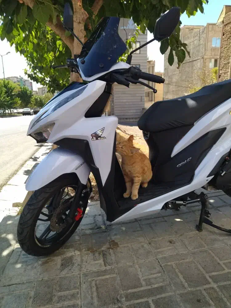 فروش و معاوضه موتورسیکلت درحد طرح کلیک۴۰۳ با ماشین|موتورسیکلت|کرج, حسن آباد|دیوار