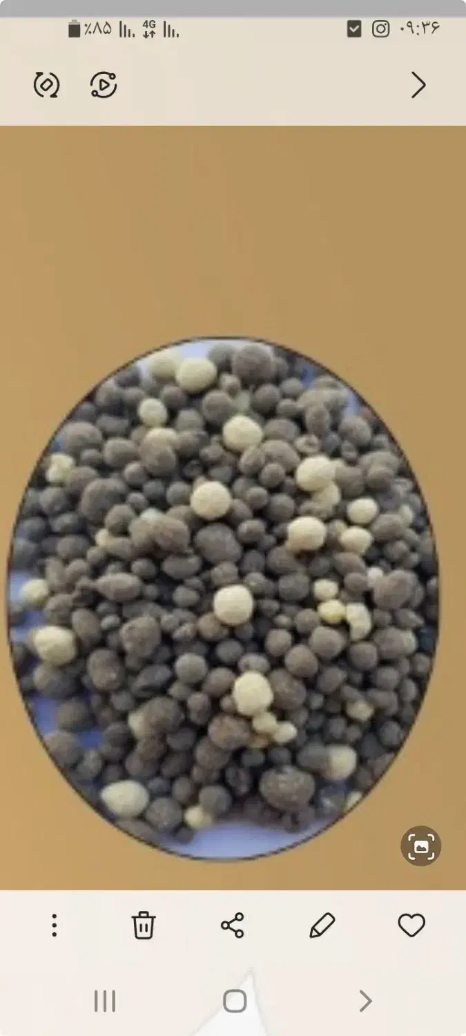 کود کامل پاییزه حیدره بالای شهر|خدمات باغبانی و درختکاری|همدان, |دیوار