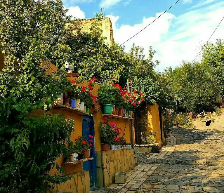 شرکت خدماتی نظافتی تشریفات مجالس آرتان خانم اقا|خدمات نظافت|اردبیل, |دیوار