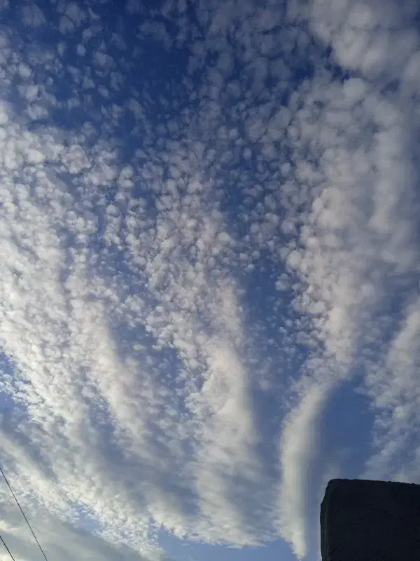 100متر زمین دارای .اب. برق . چهار دیواری|فروش زمین و ملک کلنگی|نهاوند, |دیوار