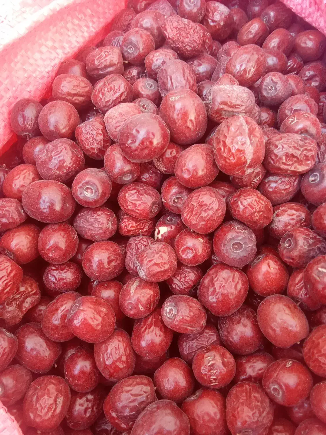 عناب ریزودرشت|عمدهفروشی|قائن, |دیوار