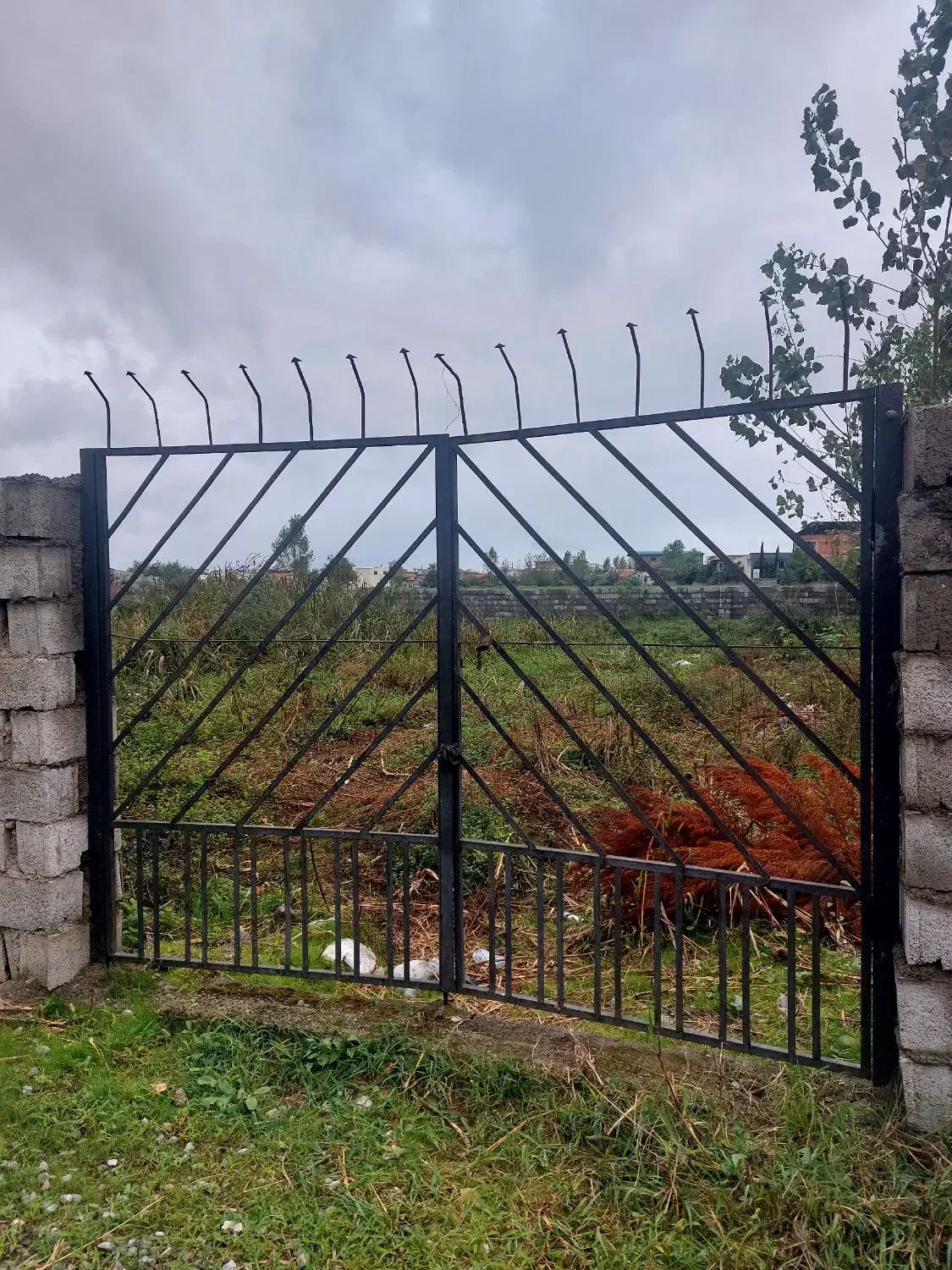 درخواست کار|فعالیت داوطلبانه|اردکان, |دیوار