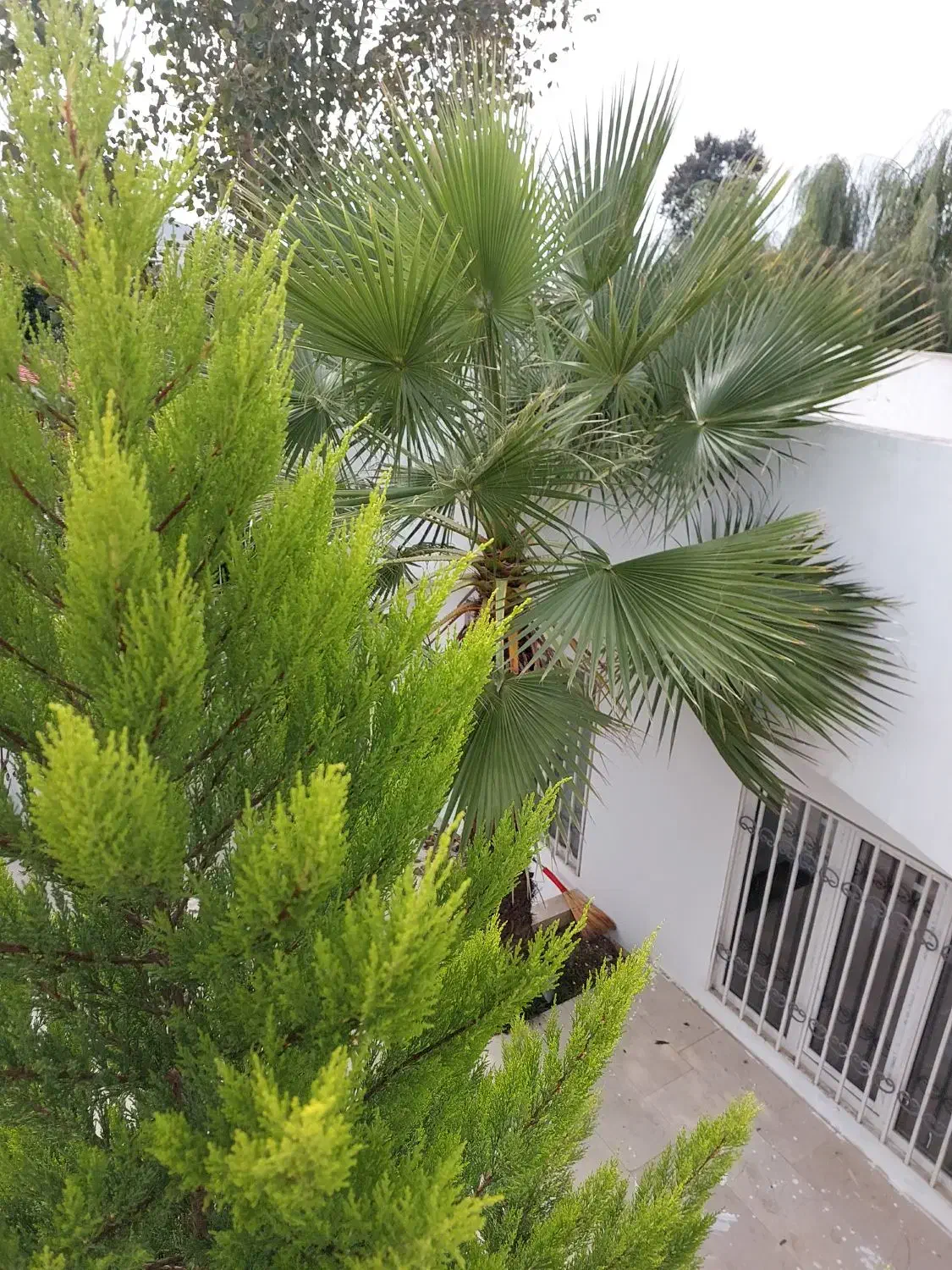 فروش ویلای نوساز ۲۲۰متری|فروش خانه و ویلا|دابودشت, |دیوار