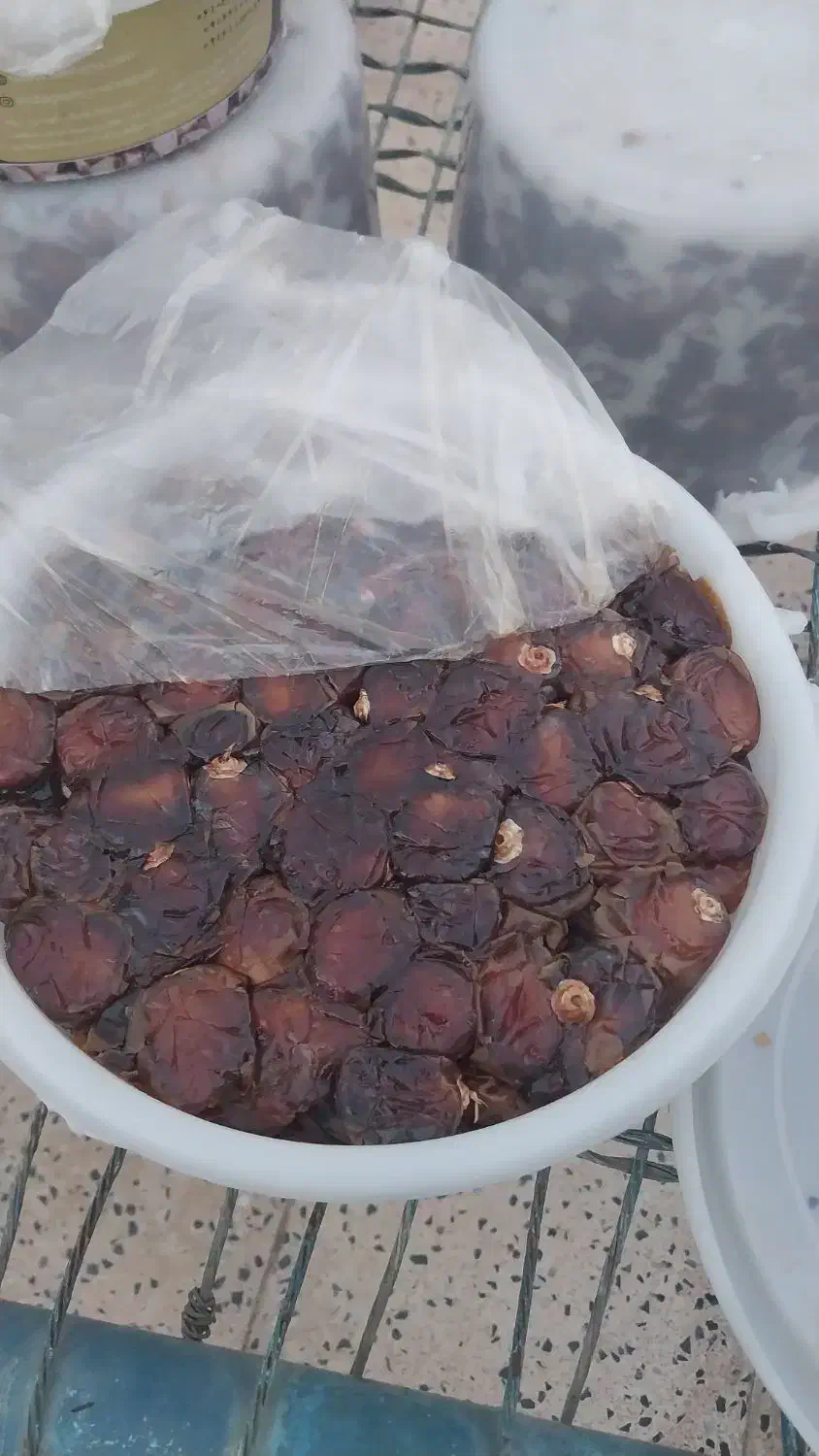 خرما برهی|خوردنی و آشامیدنی|رامهرمز, |دیوار