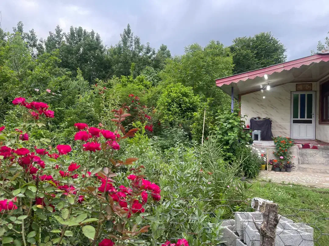 ۴۳۰مترزمین مسکونی۷۰متر بناتکبرگ سنددر شاندرمن زیبا|فروش زمین و ملک کلنگی|شاندرمن, |دیوار