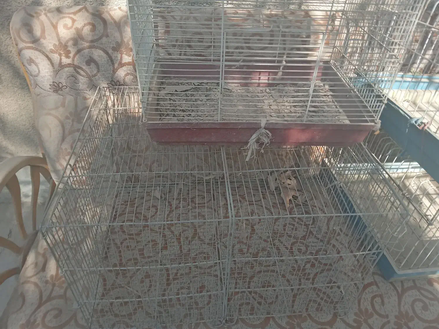 قفس خرگوش و پرنده|لوازم جانبی حیوانات|باغستان, |دیوار