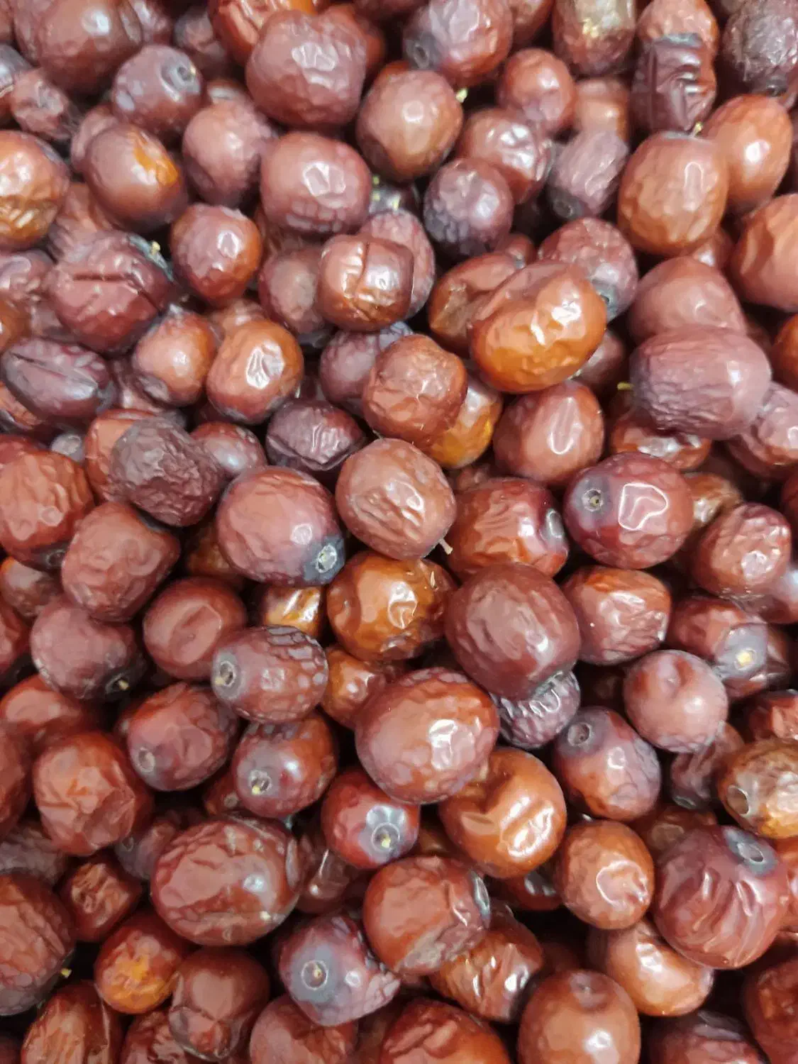 عناب امسالی|خوردنی و آشامیدنی|تربت جام, کلالی|دیوار