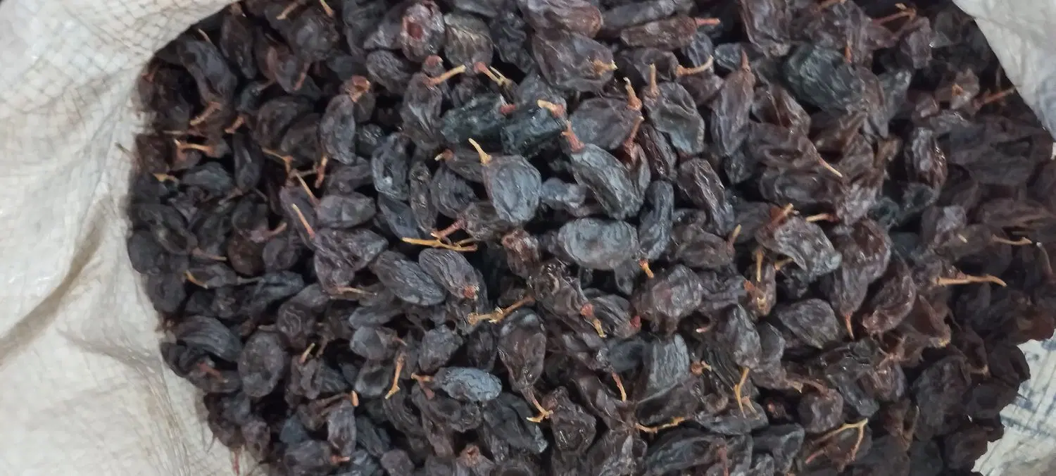 مویز|خوردنی و آشامیدنی|کازرون, |دیوار