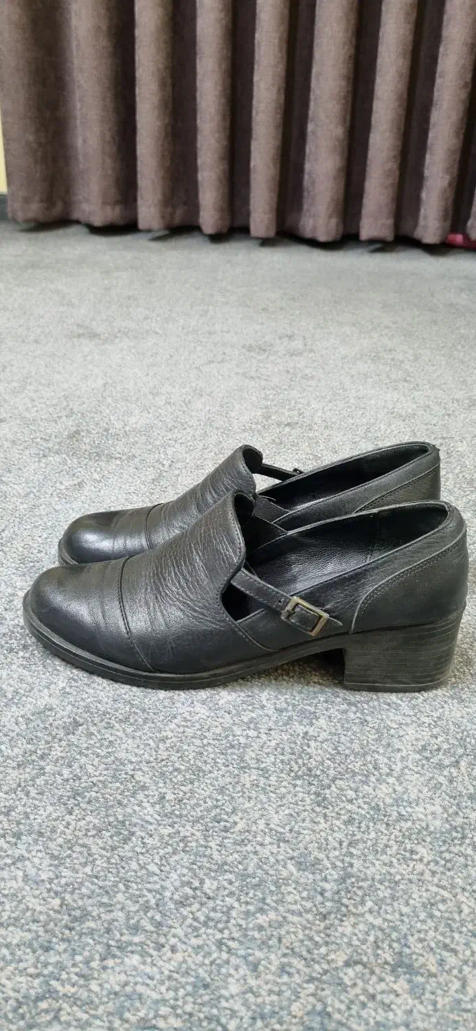 کفش|کیف، کفش، کمربند|همدان, |دیوار