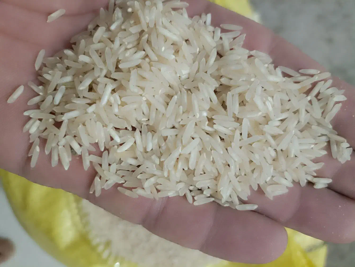 برنج شیروان درجه یک ضیغمی وعنبر طارم کیسه ای ک 250|عمده‌فروشی|سیروان, |دیوار