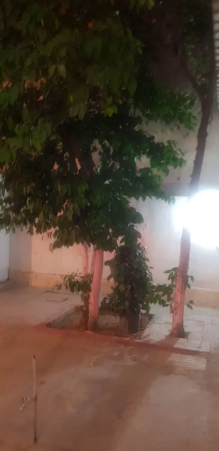 اجاره منزل طبقه همکف|اجارهٔ خانه و ویلا|شیراز, باغ تخت|دیوار