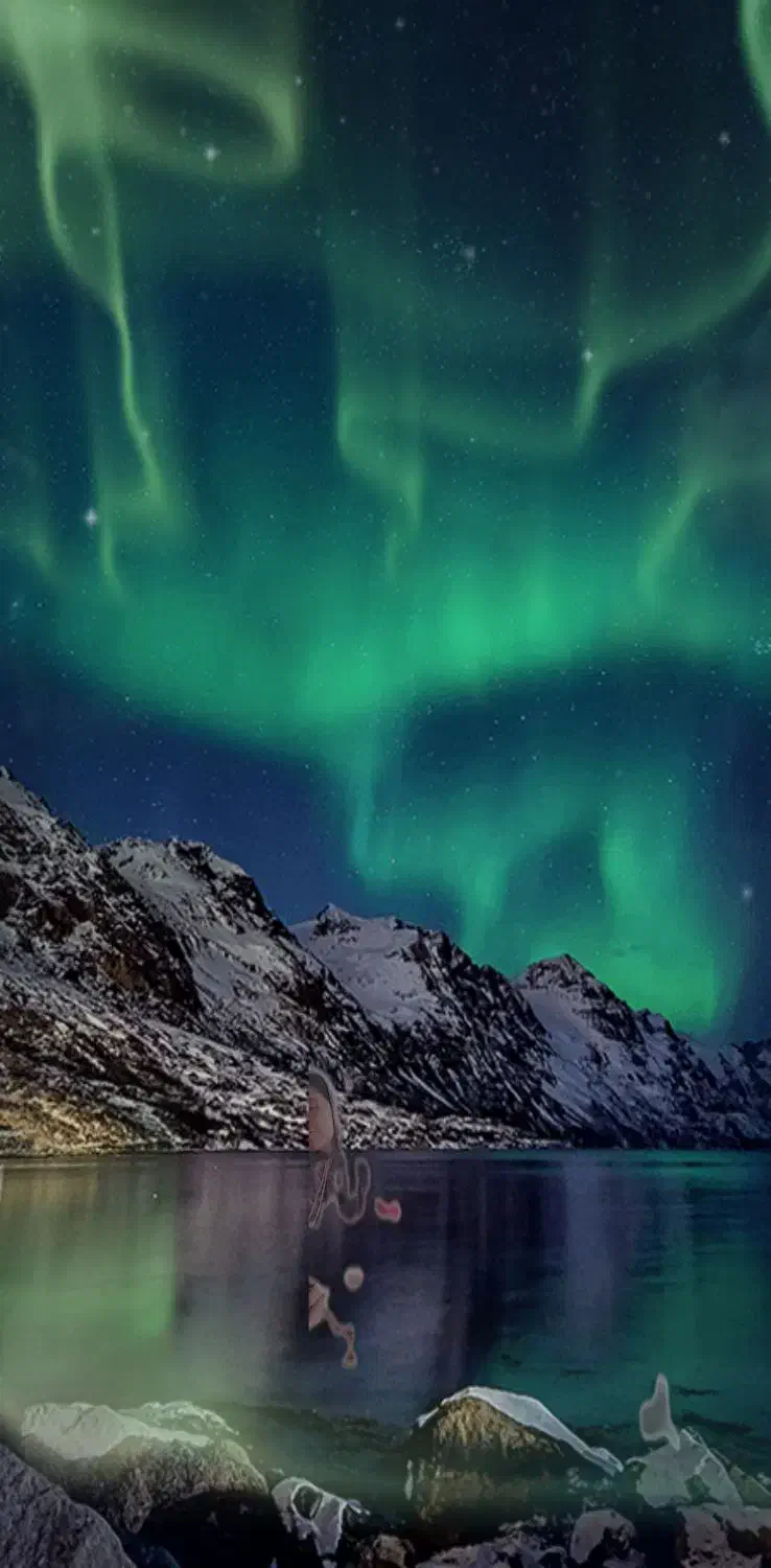 سرمایه|فعالیت داوطلبانه|قروه, |دیوار