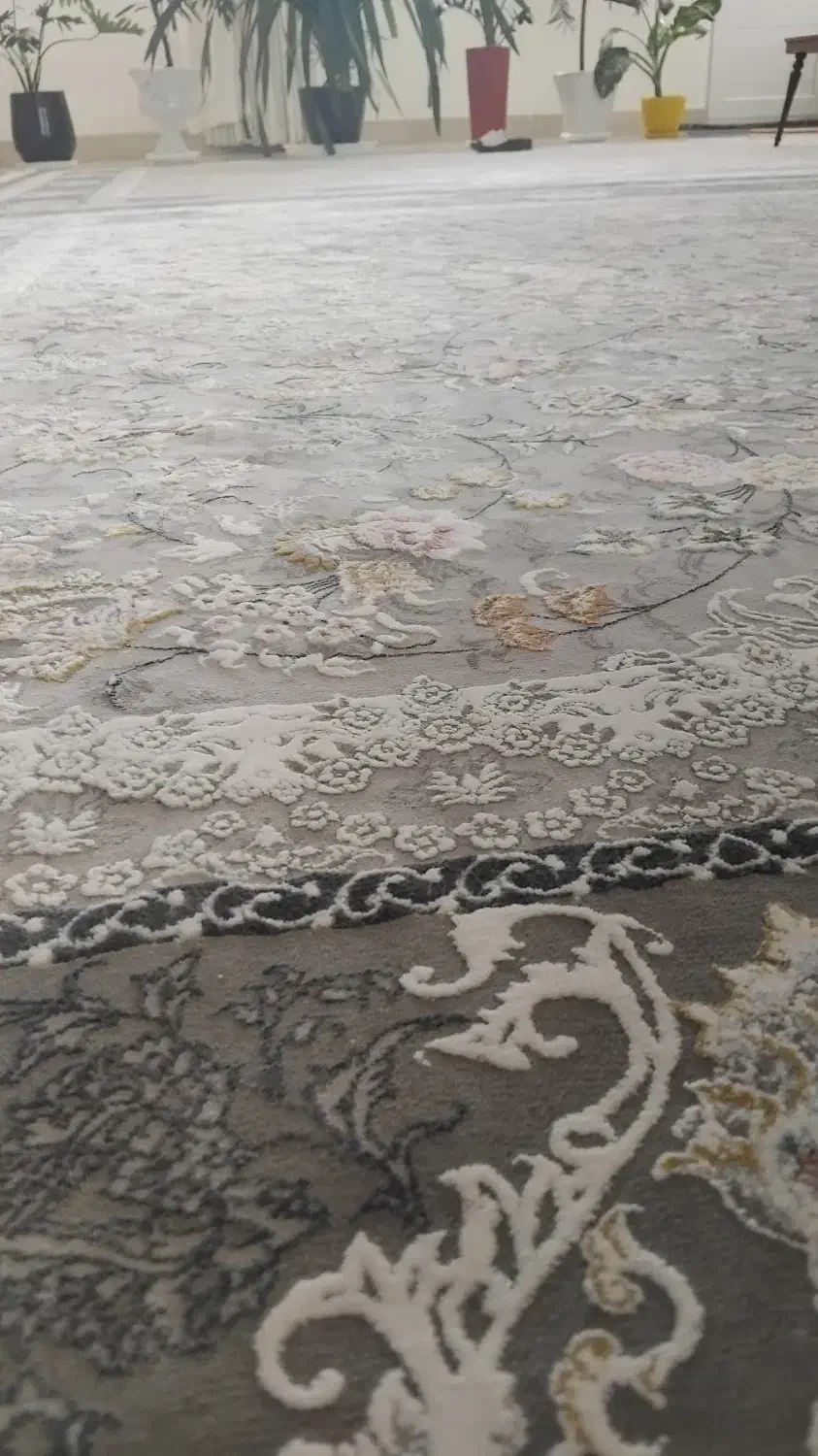 فرش|فرش|تربتحیدریه, مظفریه|دیوار