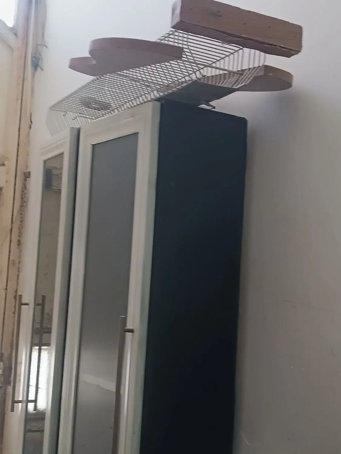 لوازم آرایشگاه|آرایشگاه و سالنهای زیبایی|اردبیل, |دیوار