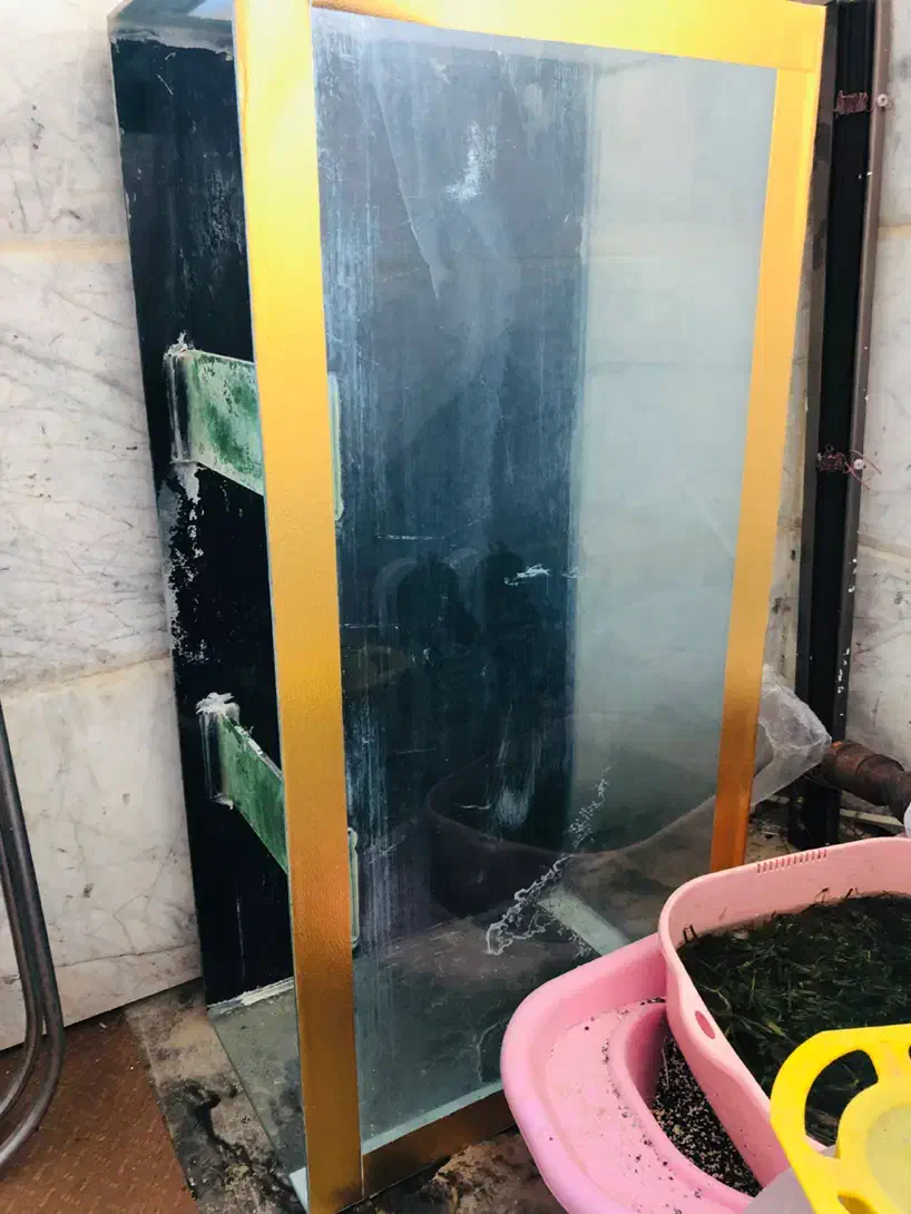 اکواریوم معاوضه با چیزی که به دردم بخوره|ماهی|مشهد, آزادشهر|دیوار