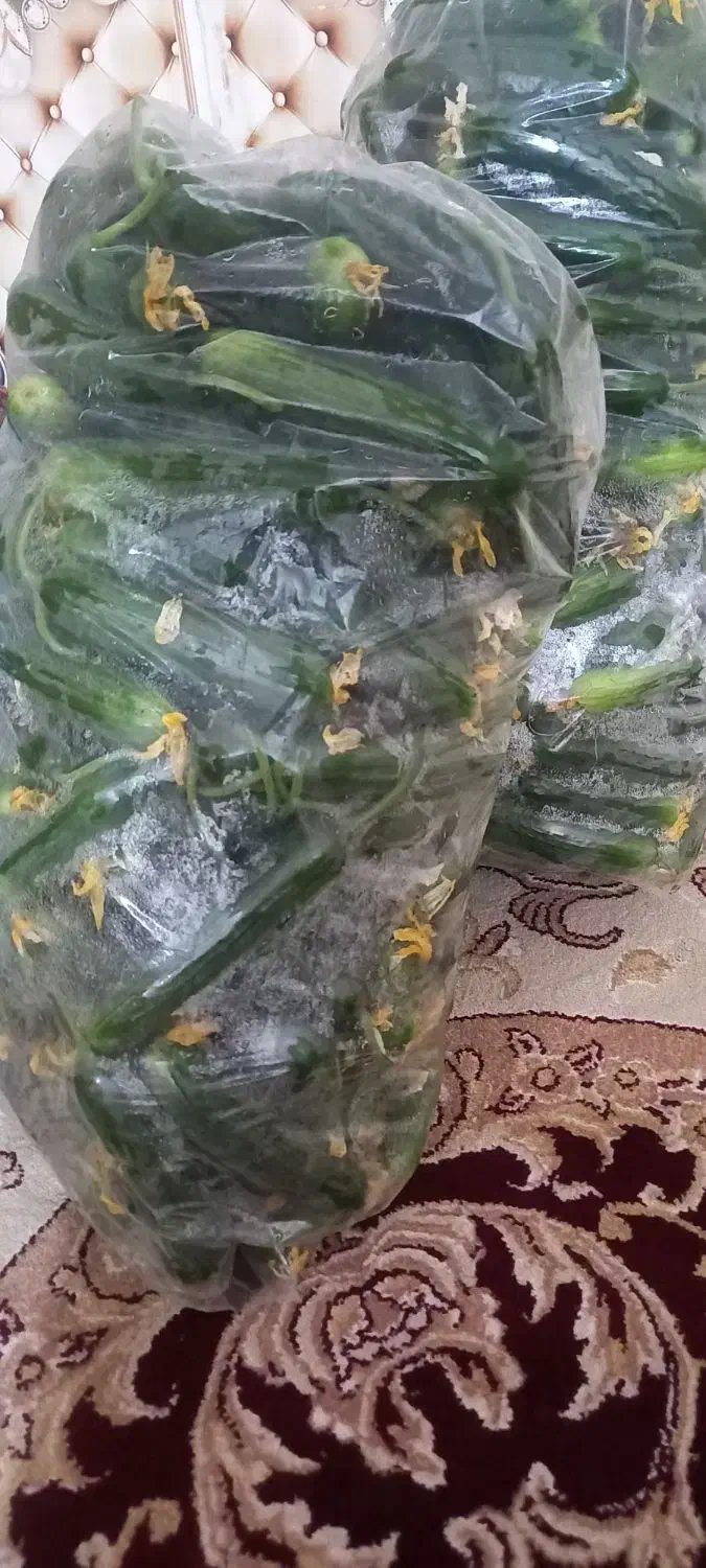 خیارگلخانه|خوردنی و آشامیدنی|خمک, |دیوار