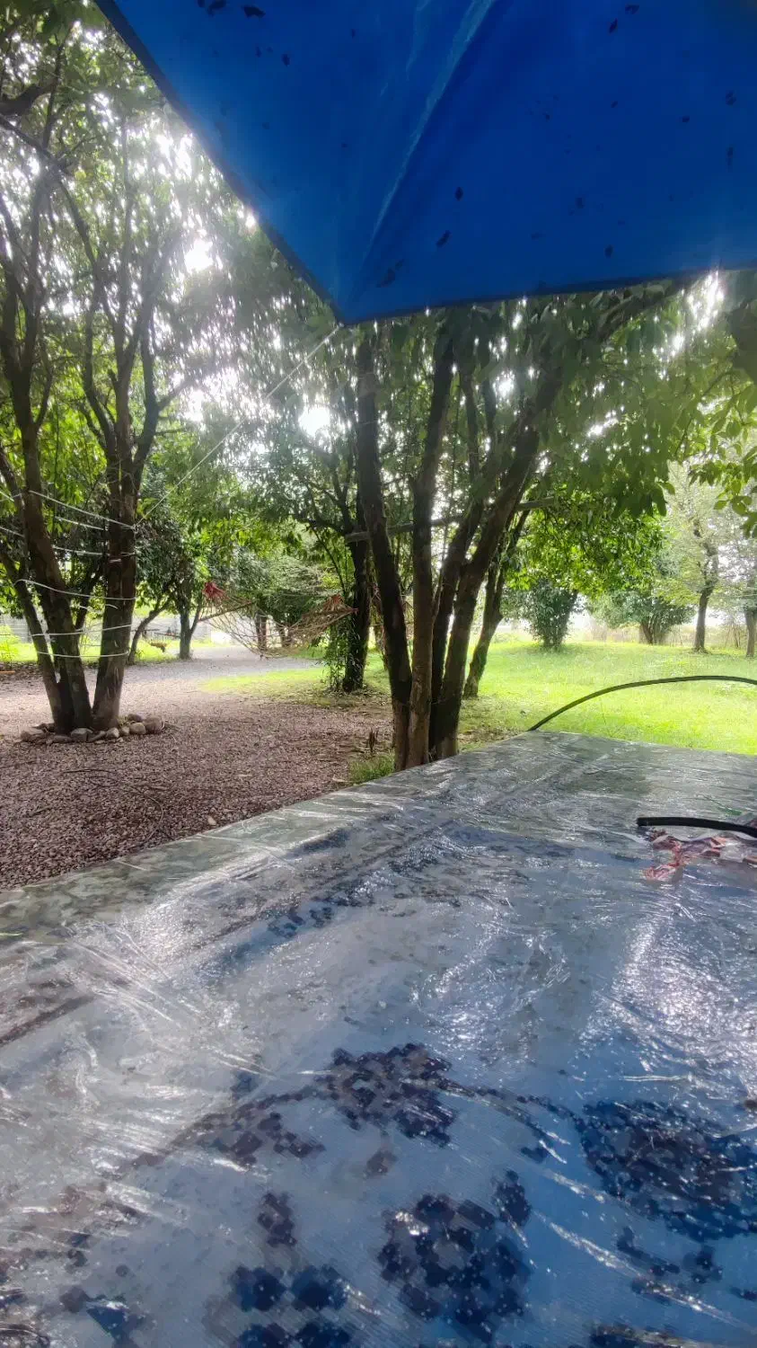 اجاره شبانه ویلا جنگلی|اجارهٔ کوتاهمدت آپارتمان و سوئیت|سیاهکل, |دیوار