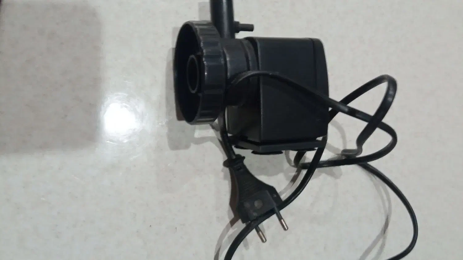 آکواریوم|ماهی|کرمان, |دیوار