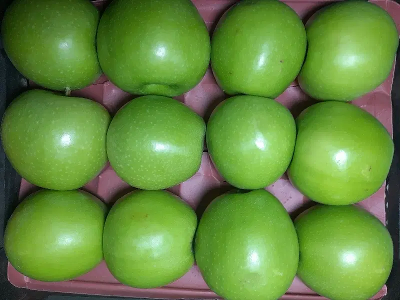 سیب|خوردنی و آشامیدنی|شیروان (خراسان), |دیوار