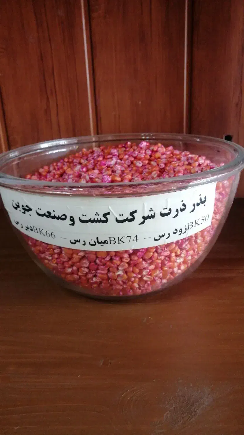 توزیع سراسری بذرذرت علوفه ای|عمدهفروشی|مشهد, شهرک امام هادی (شهرک غرب)|دیوار