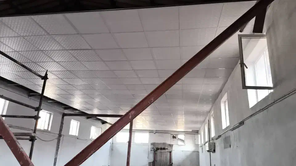 انجام کناف و ارمسترانگ|خدمات پیشه و مهارت|بندر انزلی, تهران|دیوار