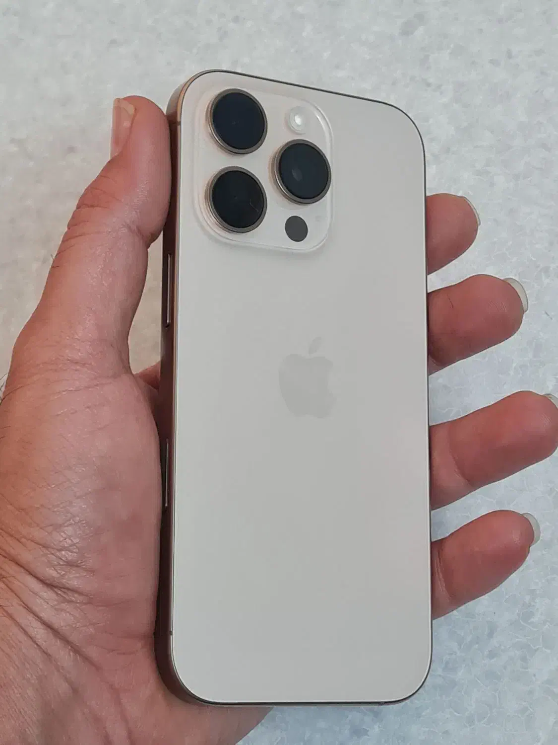 16pro 256 Zaa|موبایل|شیراز, شهرک والفجر|دیوار