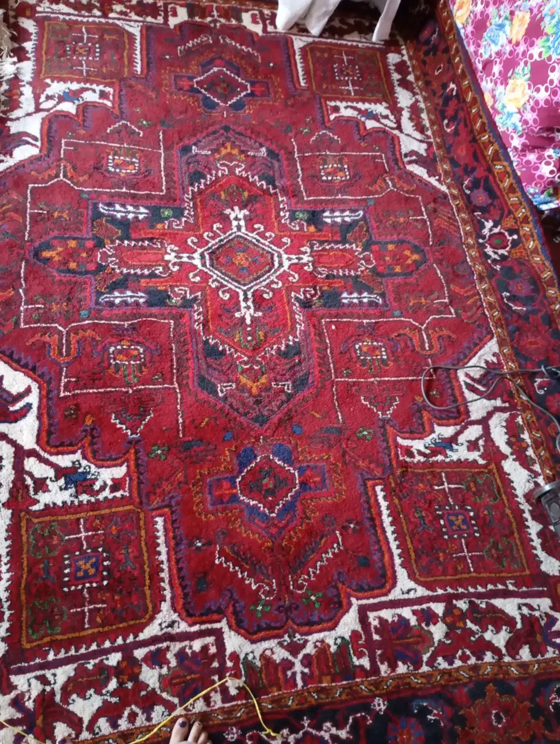 یک جفت فرش دست باف|فرش|آذرشهر, |دیوار