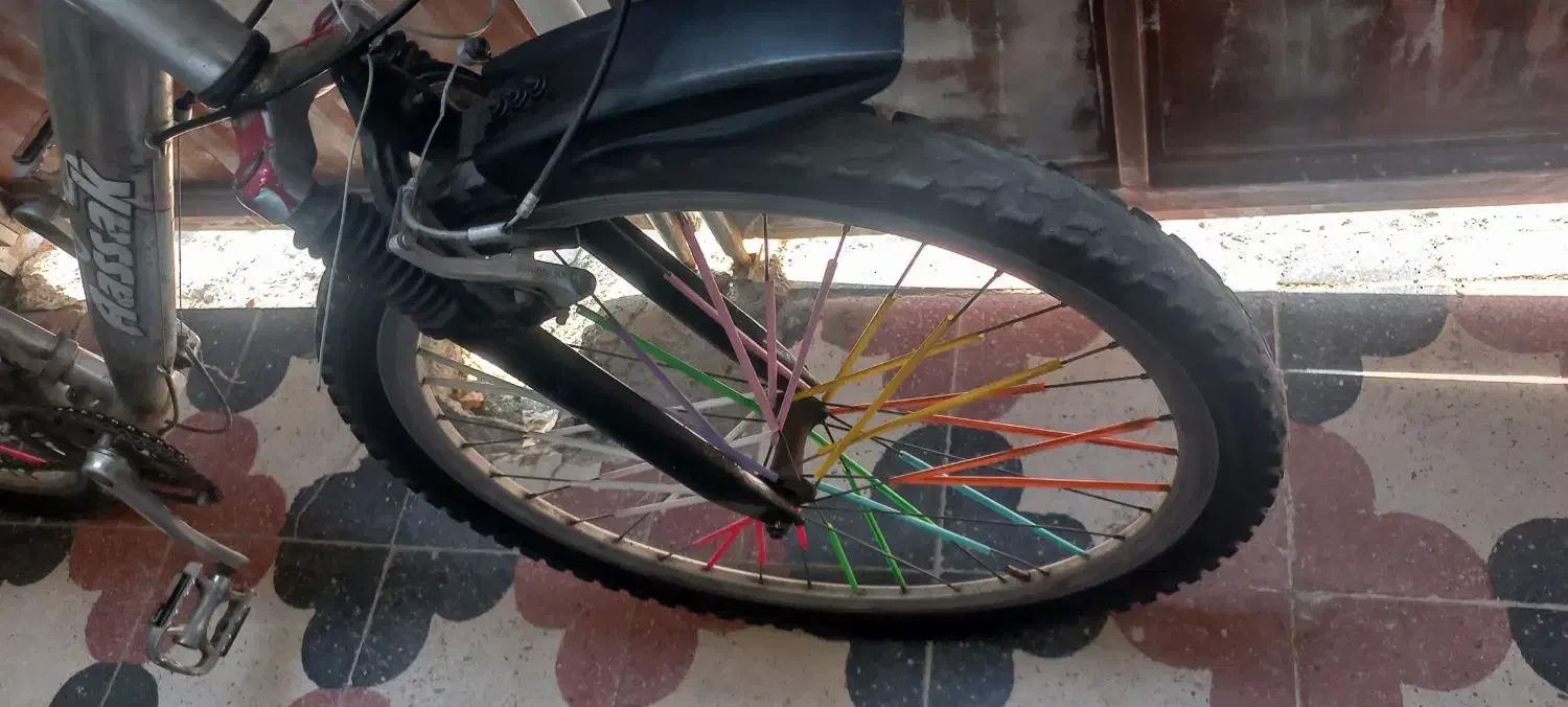 چرخ ۲۶ دنده ای|دوچرخه، اسکیت، اسکوتر|رودان, |دیوار