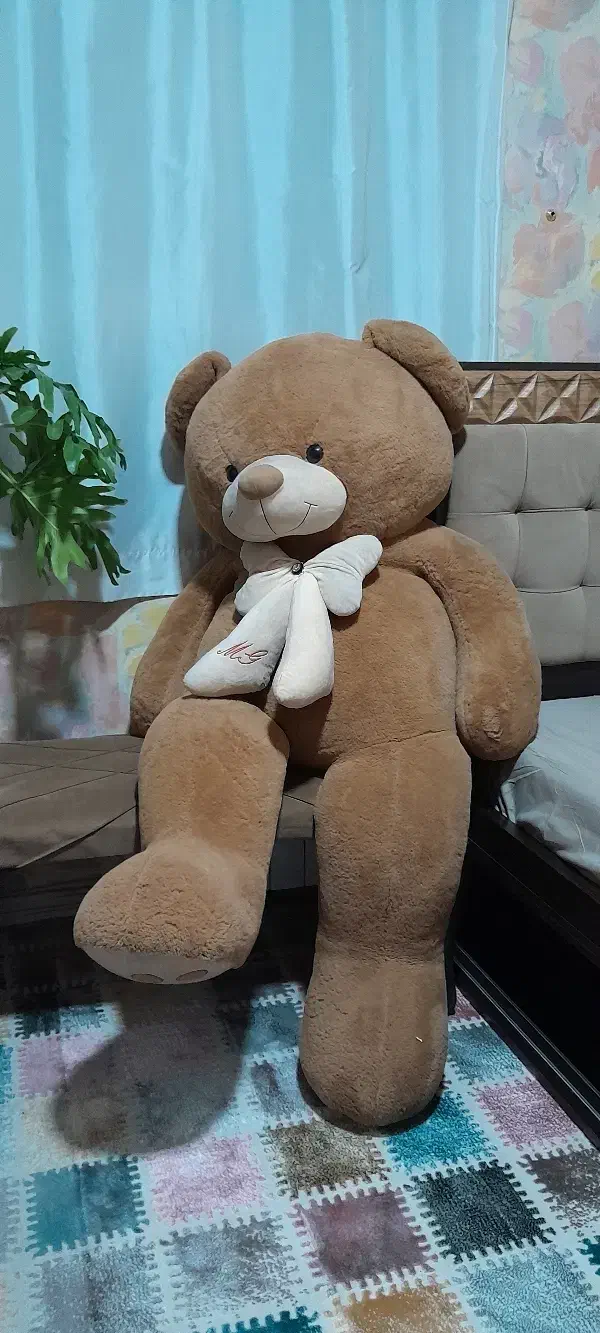 عروسک خرس قهوه ای|اسباب‌‌بازی|ری, علایین|دیوار