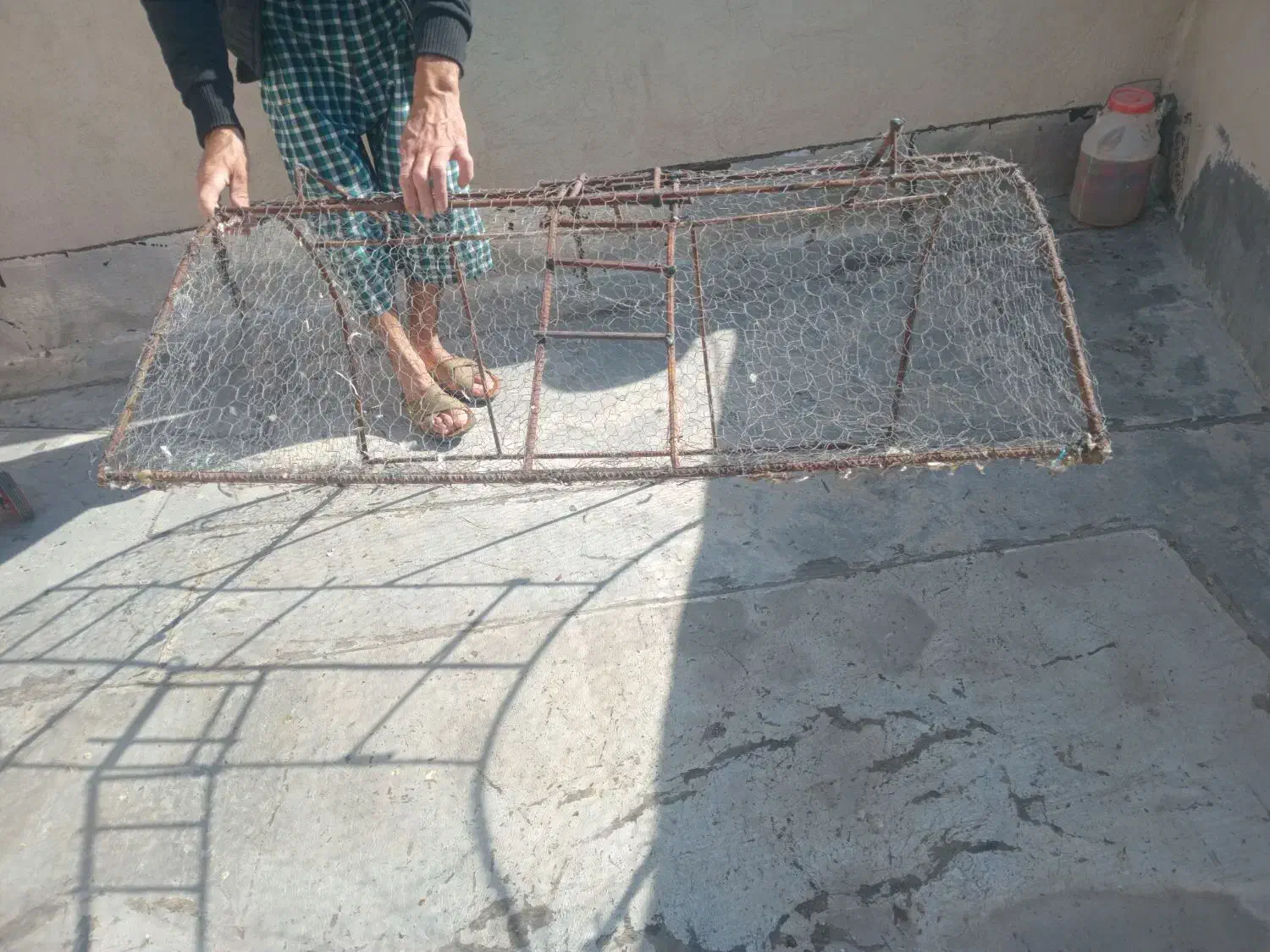 تله پرمده|لوازم جانبی حیوانات|بومهن, |دیوار