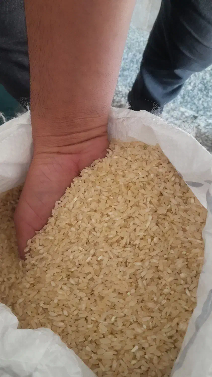 برنج کامفیروزی اصل|خوردنی و آشامیدنی|مرودشت, ژیان|دیوار