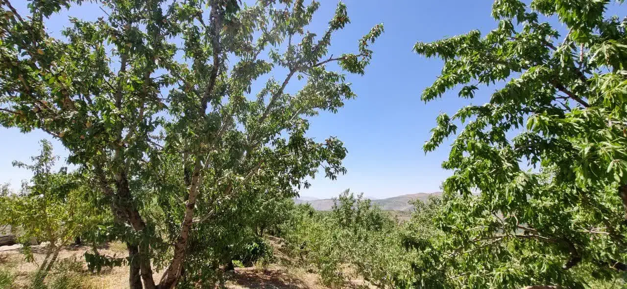 فروش باغ ویلای، کشاورزی|فروش زمین و ملک کلنگی|زاینده رود, |دیوار